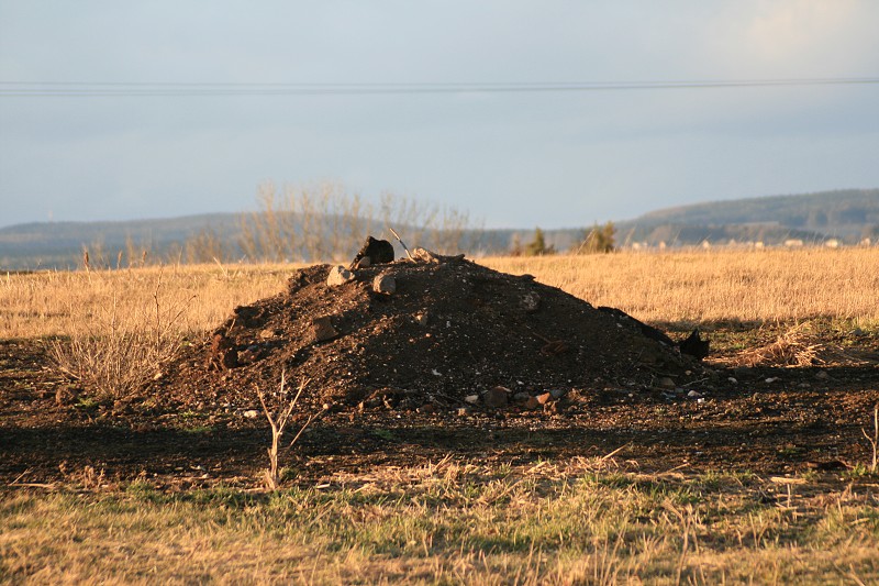 Rychnovek-Zvole 12.3.08