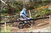  ISDE_Days_5