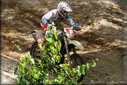  ISDE_Days_5