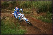 TRENINKY 2011