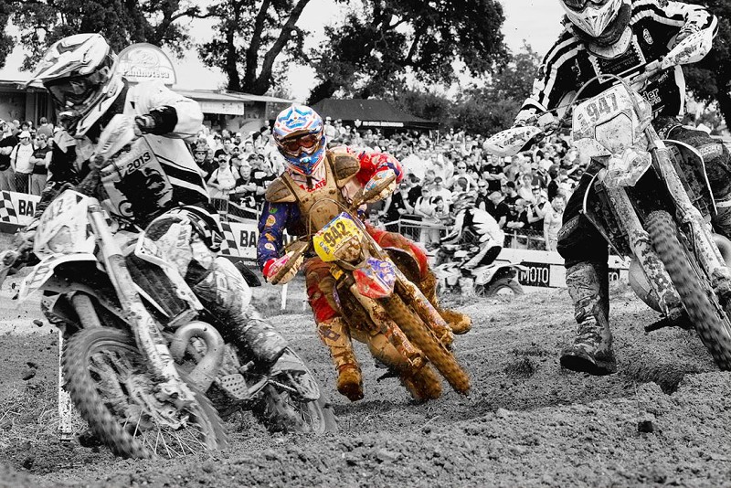 ISDE_SARDINA_2013