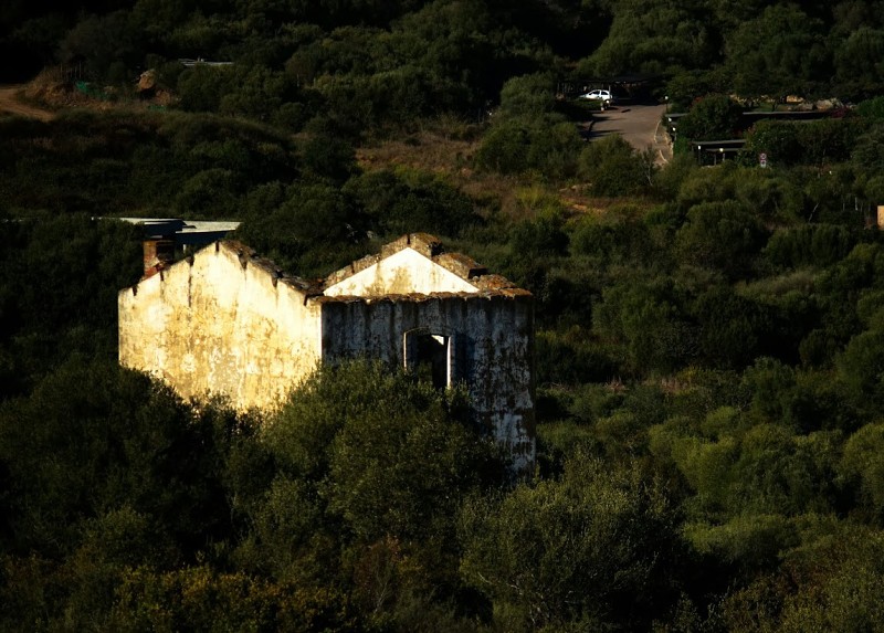 ISDE_SARDINA_2013