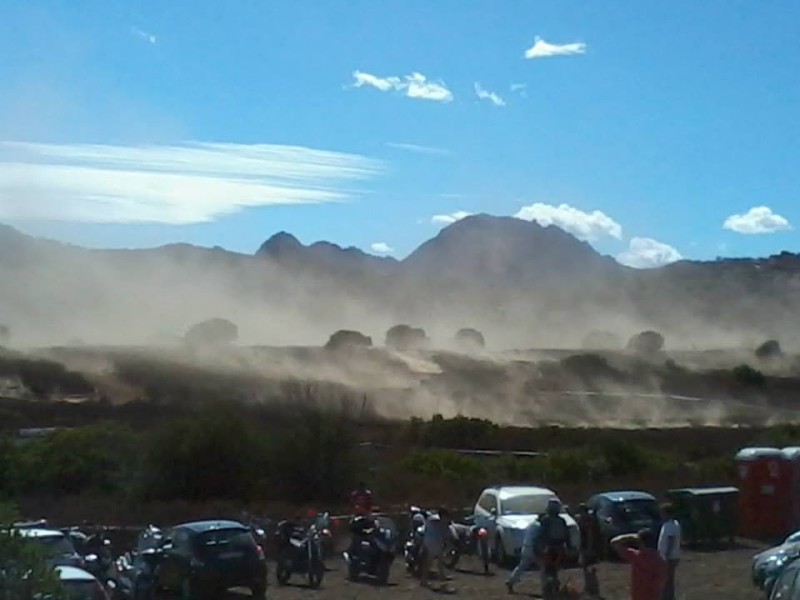ISDE_SARDINA_2013