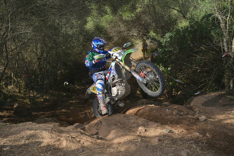 ISDE_SARDINA_2013