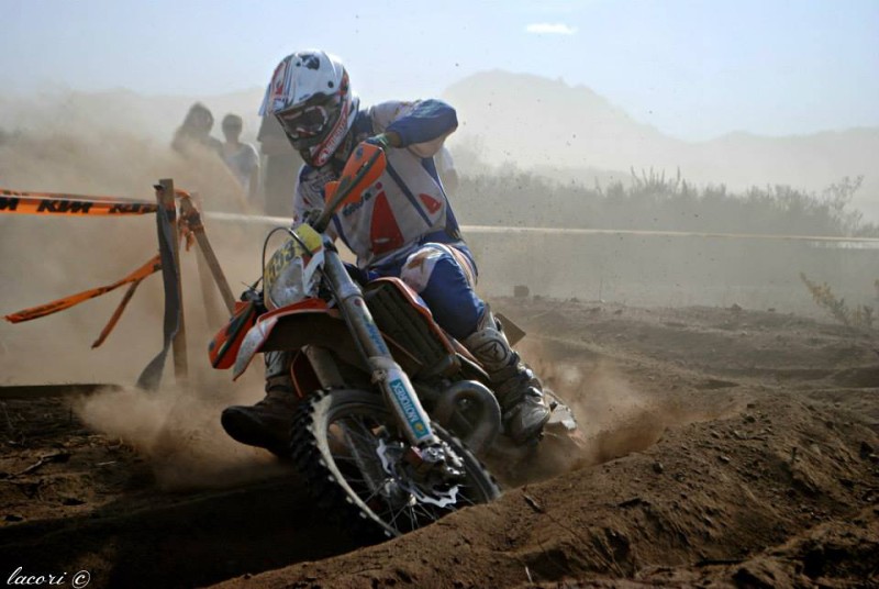 ISDE_SARDINA_2013