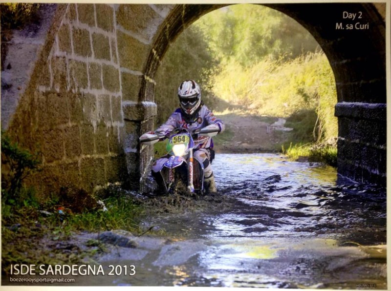 ISDE_SARDINA_2013