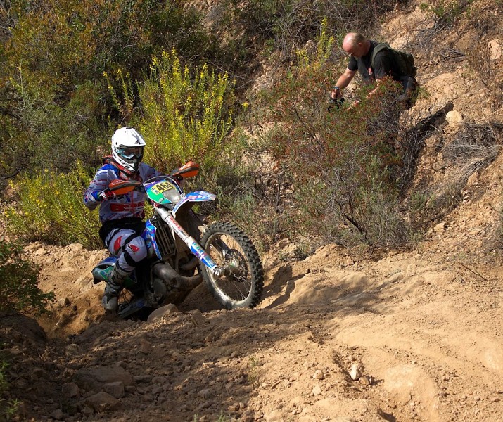 ISDE_SARDINA_2013