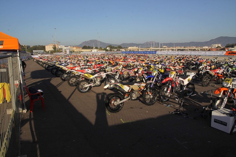 ISDE_SARDINA_2013
