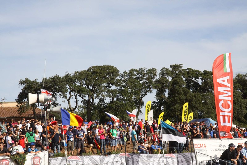 ISDE_SARDINA_2013