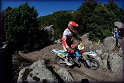 ISDE_SARDINA_OLBIA_2013