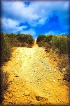 ISDE_SARDINA_OLBIA_2013