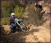 ISDE_SARDINA_OLBIA_2013