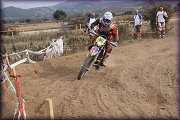 ISDE_SARDINA_OLBIA_2013