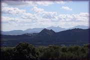 ISDE_SARDINA_OLBIA_2013