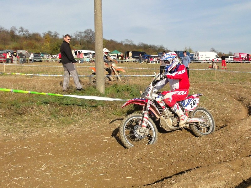 BAKOV 2013
