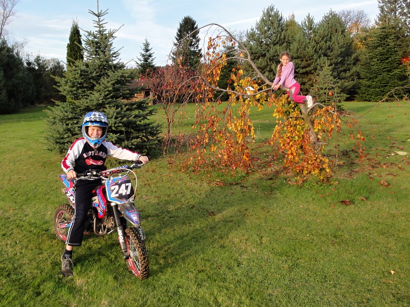 BAKOV 2013