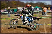 BAKOV 2013