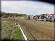 BAKOV 2013
